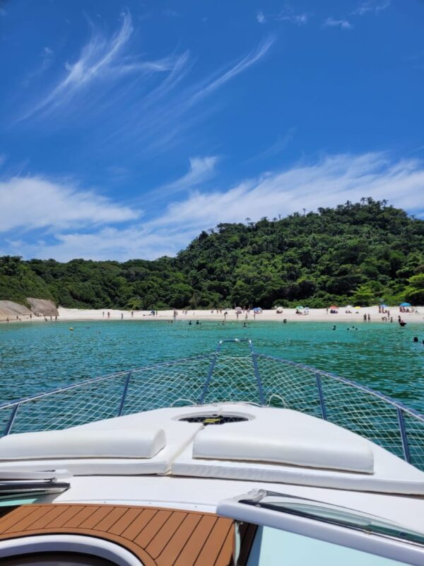 Phantom 290 - Imagem 6