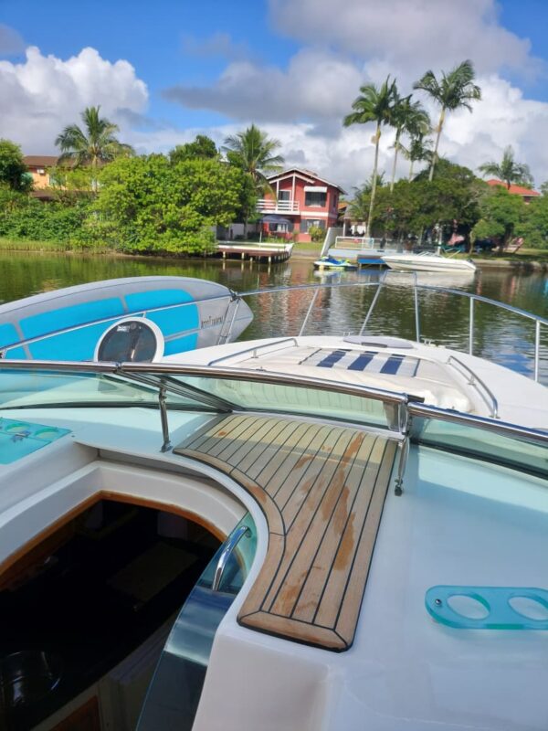 Phantom 290 - Imagem 2
