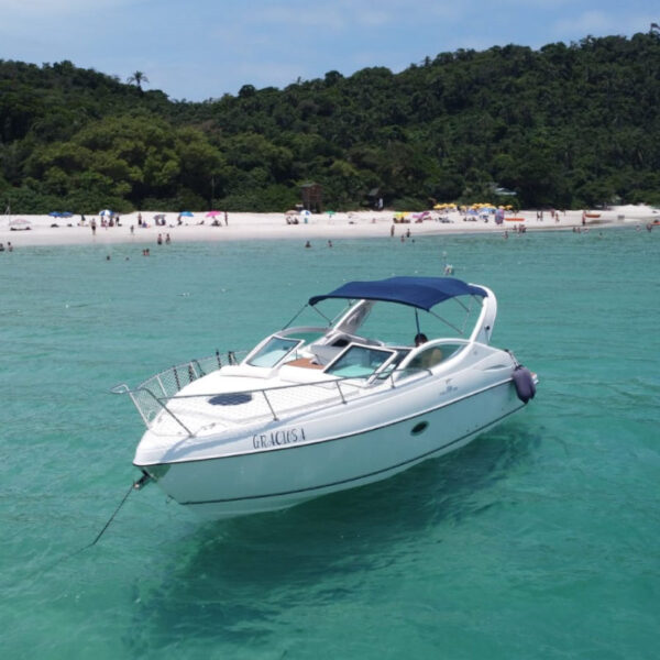 Phantom 290