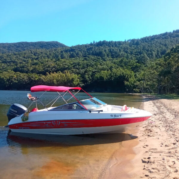 Ventura 195