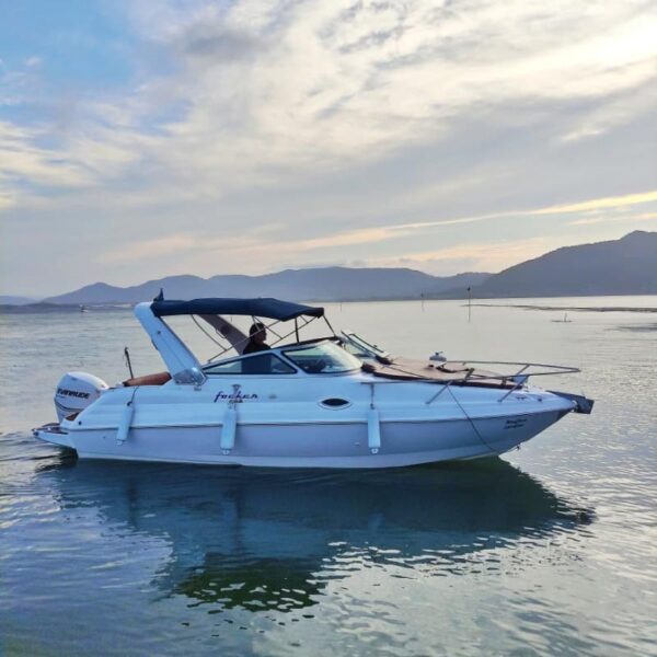 Focker 255 - Imagem 3