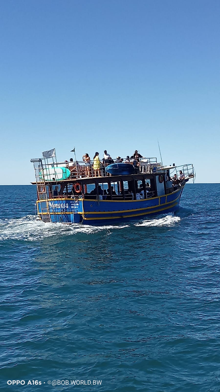 Passeio Panorâmico Ilha do Campeche - Imagem 6