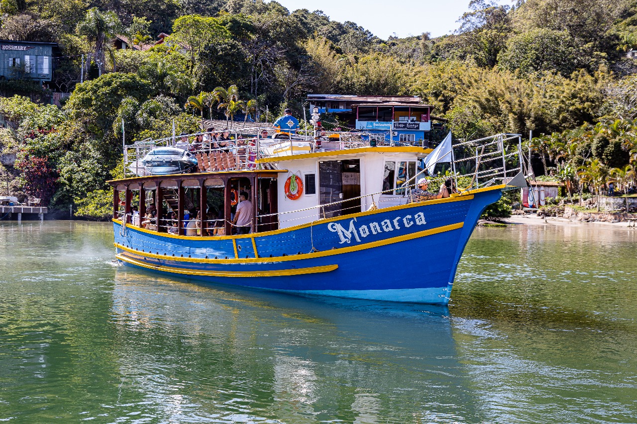 Passeio Panorâmico Ilha do Campeche - Imagem 7