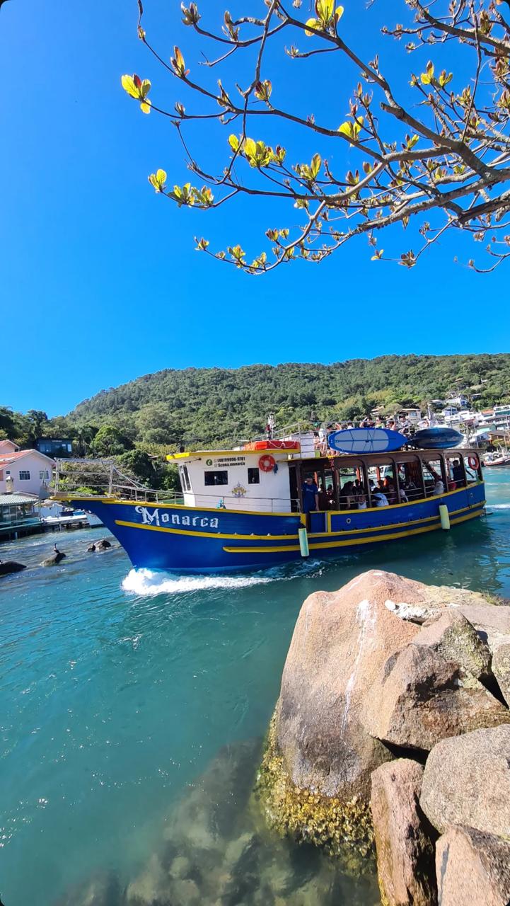 Passeio Panorâmico Ilha do Campeche - Imagem 8