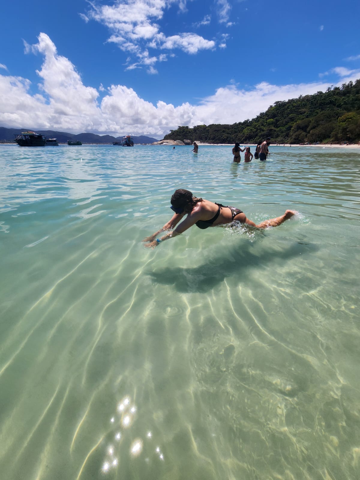 Passeio Panorâmico Ilha do Campeche - Imagem 2