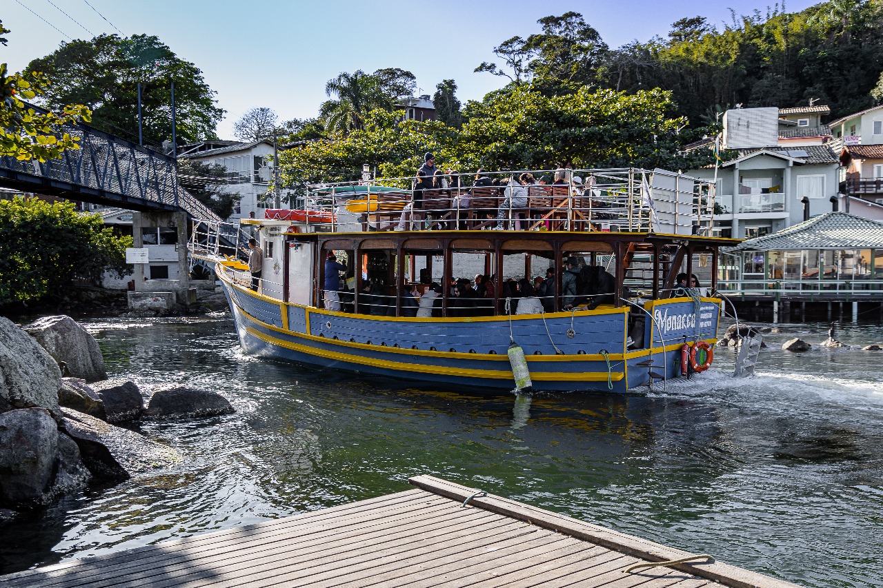 Passeio Panorâmico Ilha do Campeche - Imagem 9